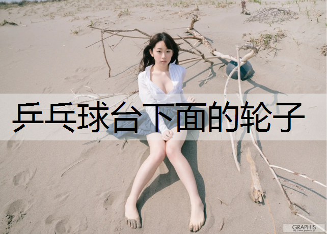 乒乓球台下面的轮子
